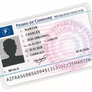 Buy France Driving licence